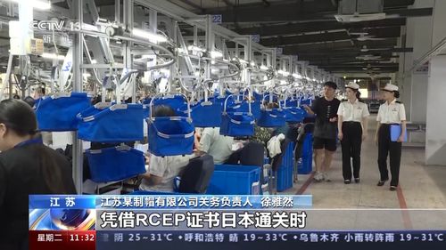 前7個月我國外貿(mào)運(yùn)行平穩(wěn)，貨物貿(mào)易進(jìn)出口總值達(dá)23.55萬億元