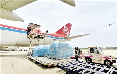 2025年河南省貨物進出口將突破萬億大關(guān) 國內(nèi)貿(mào)易代理的機遇與挑戰(zhàn)