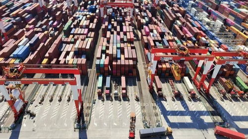 從海上起點(diǎn)到空中班車 上海激活跨境物流新動(dòng)能——活力中國(guó)調(diào)研行