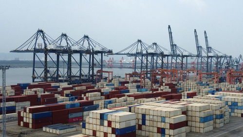 開門穩！外貿大省浙江發力，東盟躍升為第二大貿易市場